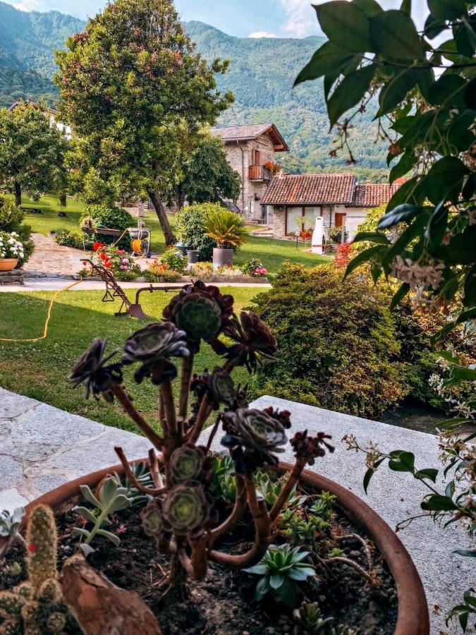 Il Fienile - Lake Como Heritage Home In Molino Maufet Watermill - Lake View Terrace קוליקו מראה חיצוני תמונה